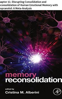 Memory Reconsolidation : Chapter 12. (English Edition)